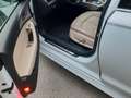 Audi A6 Avant 2.0 tdi ultra Business Plus 190cv s-tronic Bianco - thumbnail 12