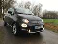 Fiat 500 DOLCEVITA, Panoramadach Klimatronic Navi Schwarz - thumbnail 12