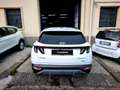 Hyundai TUCSON Tucson 1.6 hev Xline Hyundai Smart Sense+ Advanced Bianco - thumbnail 5