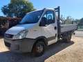 Iveco Daily 35c11 Bianco - thumbnail 1