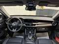 Alfa Romeo Stelvio Stelvio 2.2 Turbodiesel 160 CV AT8 RWD Business - thumbnail 13