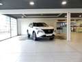 Nissan X-Trail Nuevo  5 Plazas 1.5 e-POWER 152kW (204CV) A/T 4x2 Blanco - thumbnail 2