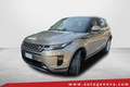 Land Rover Range Rover Evoque EVOQUE 2.0D I4 163CV AWD STANDARD ( CRUISE - PDC ) - thumbnail 1