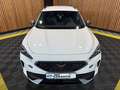 CUPRA Formentor 1,5 TSI DSG *Navi*Kam*LED*Virtual*AHK Weiß - thumbnail 3