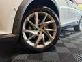 CUPRA Formentor 1,5 TSI DSG *Navi*Kam*LED*Virtual*AHK Weiß - thumbnail 17