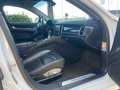 Porsche Panamera Panamera 3.0 Diesel Bianco - thumbnail 19