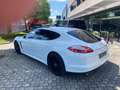 Porsche Panamera Panamera 3.0 Diesel Bianco - thumbnail 6
