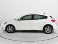 Ford Focus 1.5 Ecoblue Trend+ 120 Blanco - thumbnail 6