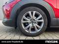 Mazda CX-30 SKYACTIV-G 2.0 150PS M Hybrid SELECTION,DESIGN-P., Rot - thumbnail 7