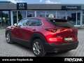 Mazda CX-30 SKYACTIV-G 2.0 150PS M Hybrid SELECTION,DESIGN-P., Rot - thumbnail 3