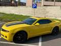 Chevrolet Camaro coupè 3.6 v6 316cv Giallo - thumbnail 5