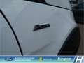 Ford EcoSport Active LED Klimaaut. DAB  Ambientebel. Leder HU ne Weiß - thumbnail 29