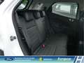 Ford EcoSport Active LED Klimaaut. DAB  Ambientebel. Leder HU ne Weiß - thumbnail 12