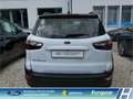 Ford EcoSport Active LED Klimaaut. DAB  Ambientebel. Leder HU ne Weiß - thumbnail 5