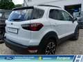 Ford EcoSport Active LED Klimaaut. DAB  Ambientebel. Leder HU ne Weiß - thumbnail 4