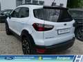Ford EcoSport Active LED Klimaaut. DAB  Ambientebel. Leder HU ne Weiß - thumbnail 6