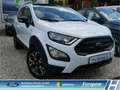 Ford EcoSport Active LED Klimaaut. DAB  Ambientebel. Leder HU ne Weiß - thumbnail 3