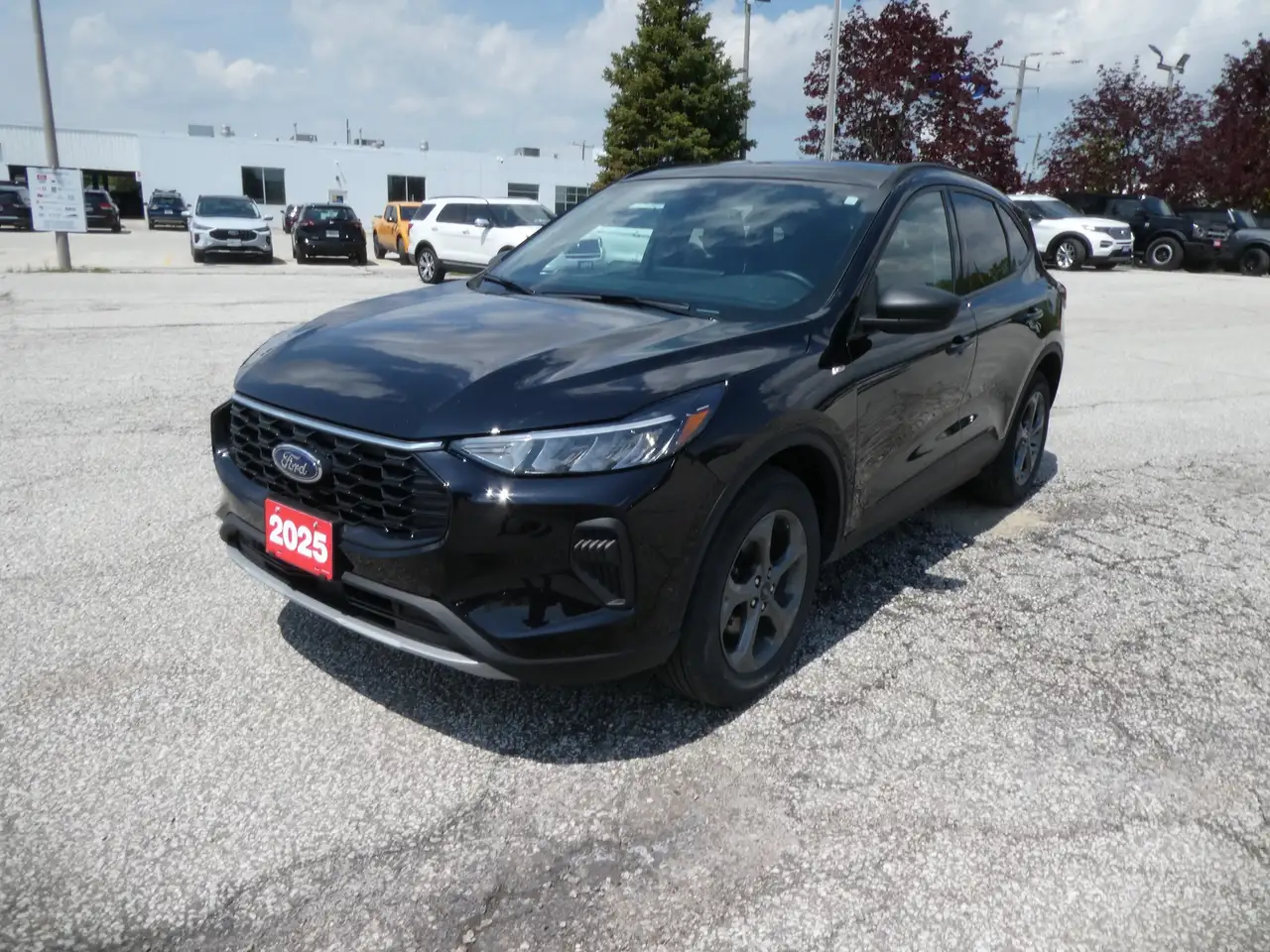 Ford Escape fotografie Ford Escape