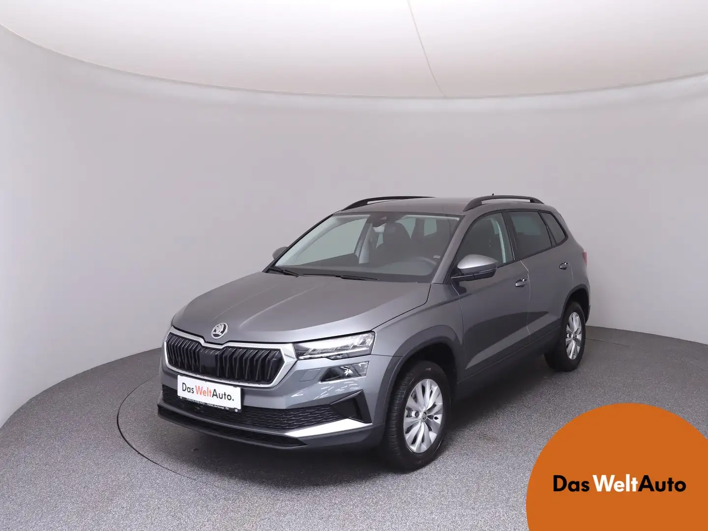Skoda Karoq Selection TDI Grau - 1