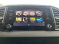 Skoda Karoq Selection TDI Grau - thumbnail 22