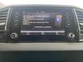 Skoda Karoq Selection TDI Grau - thumbnail 19