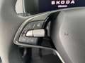 Skoda Karoq Selection TDI Grau - thumbnail 14