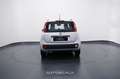 Fiat Panda 1.2 EasyPower GPL Lounge Argent - thumbnail 5