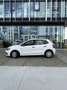Volkswagen Polo 1.4 TDi BlueMotion DPF - thumbnail 6