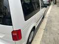 Volkswagen Caddy PLUS 2.0TDI Bianco - thumbnail 7