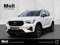Volvo XC40 Plus Dark 2WD B3 EU6d digitales Cockpit Memory Sit Weiß - thumbnail 1