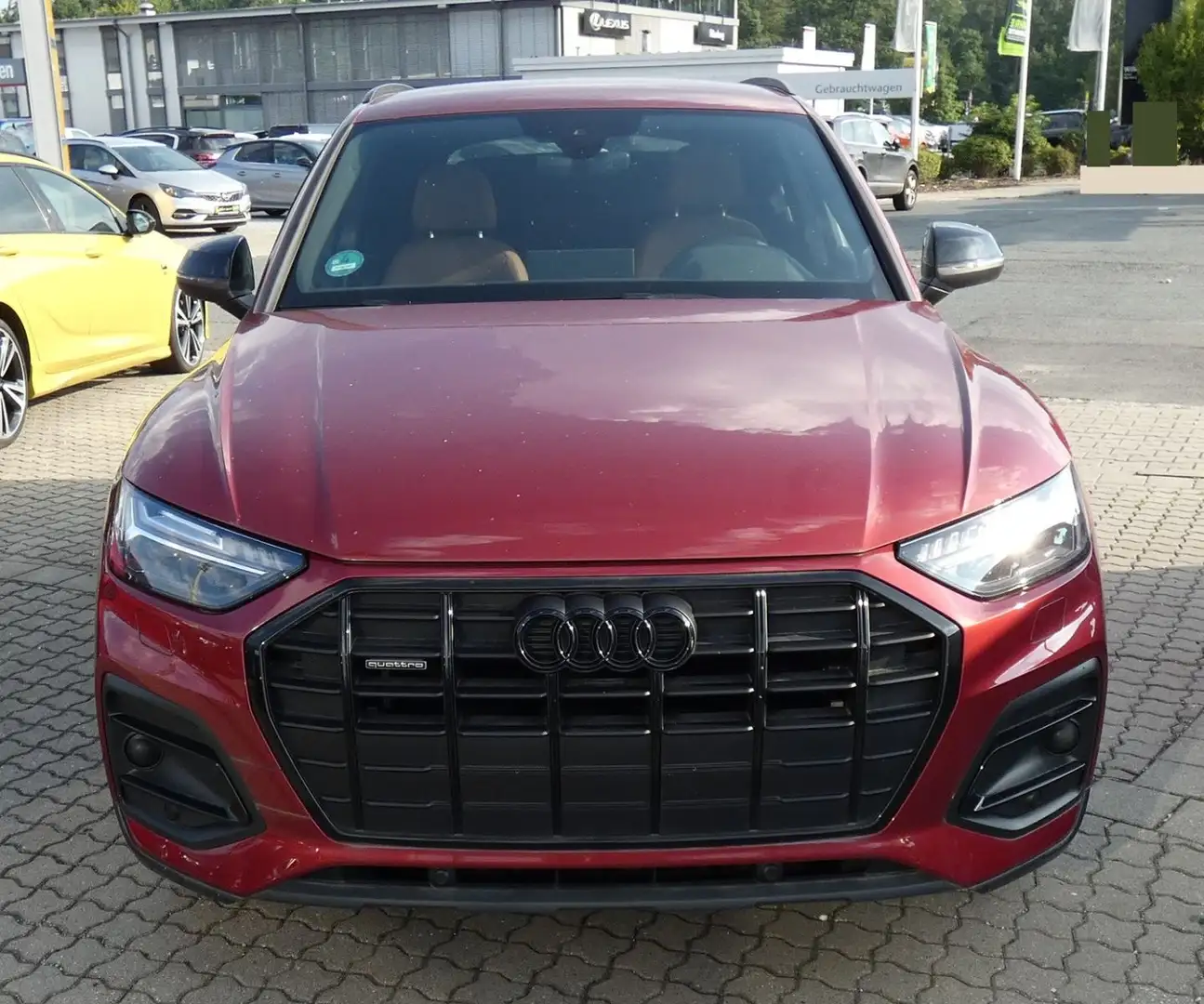 Audi Q5 40 TDI Quattro Advanced Matrix LED Leder Navi Red - 1