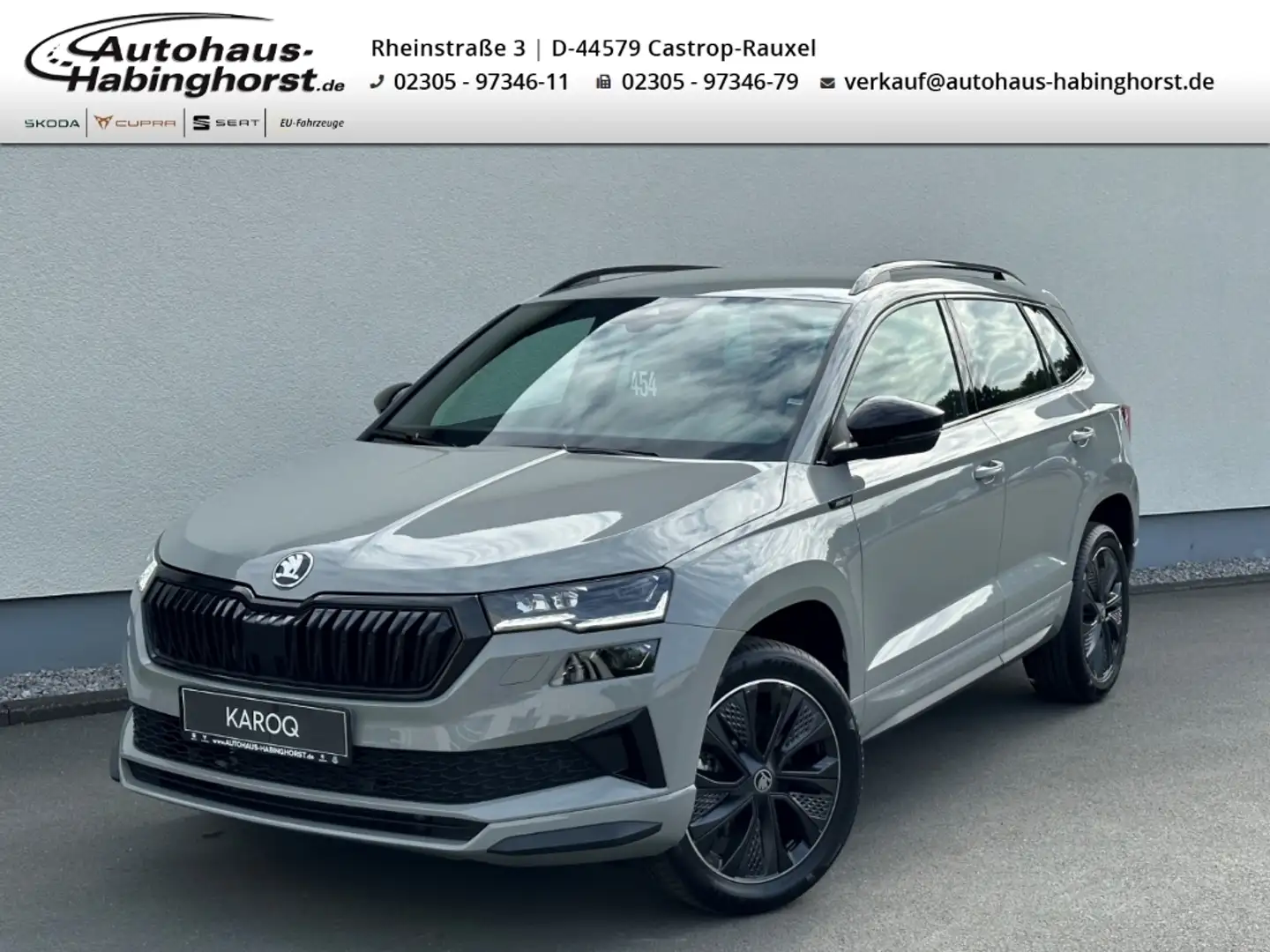 Skoda Karoq 1.5 TSI DSG ACT Sportline ACC Matrix Navi PDC Klim Grau - 1