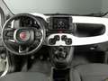 Fiat Panda 1.0 MHEV CROSS 5P Blanco - thumbnail 10