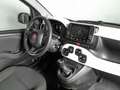 Fiat Panda 1.0 MHEV CROSS 5P Blanco - thumbnail 9