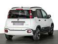 Fiat Panda 1.0 MHEV CROSS 5P Blanco - thumbnail 4