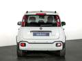 Fiat Panda 1.0 MHEV CROSS 5P Blanco - thumbnail 5