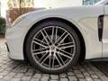 Porsche Panamera 4//*PANORAMA*//*CHRONO*//*BOSE* Grau - thumbnail 19