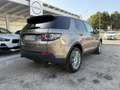 Land Rover Discovery Sport 2.0 TD4 150 Pr. Bus.Ed. Marrone - thumbnail 2