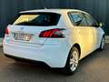 Peugeot 308 1.5 BlueHDi S&S Allure 130 Blanco - thumbnail 5