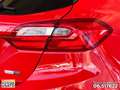 Ford Fiesta 5p 1.0 ecoboost hybrid titanium s&s 125cv my20.75 Rosso - thumbnail 14