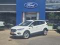 Ford Kuga 1.5 EcoBoost Titanium | Stuur/stoel/voorruit verwa Wit - thumbnail 1