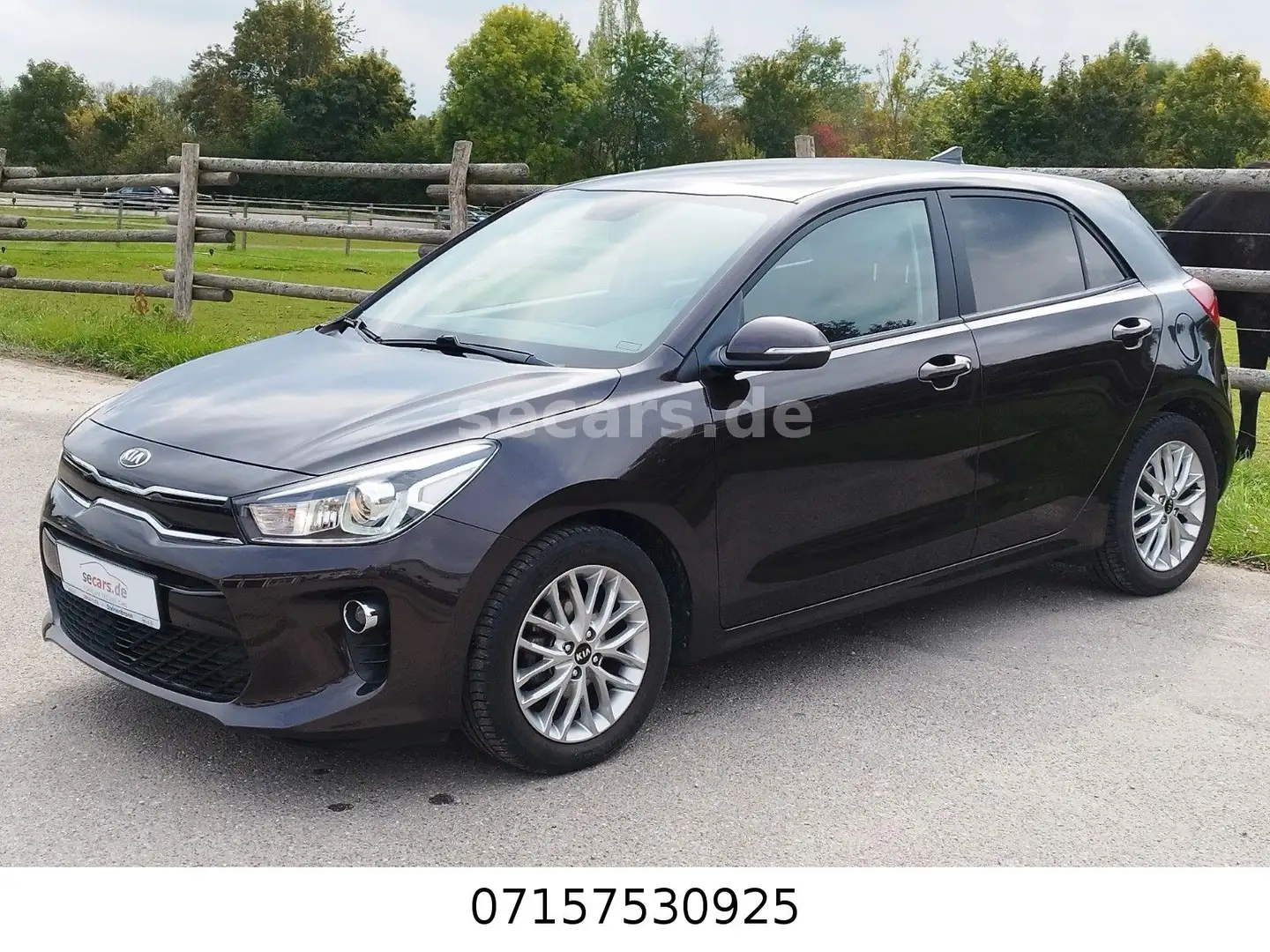 Kia Rio 1.2 Navi RFK SHZ LKRHZ KlimaAu Apple Android Braun - 1