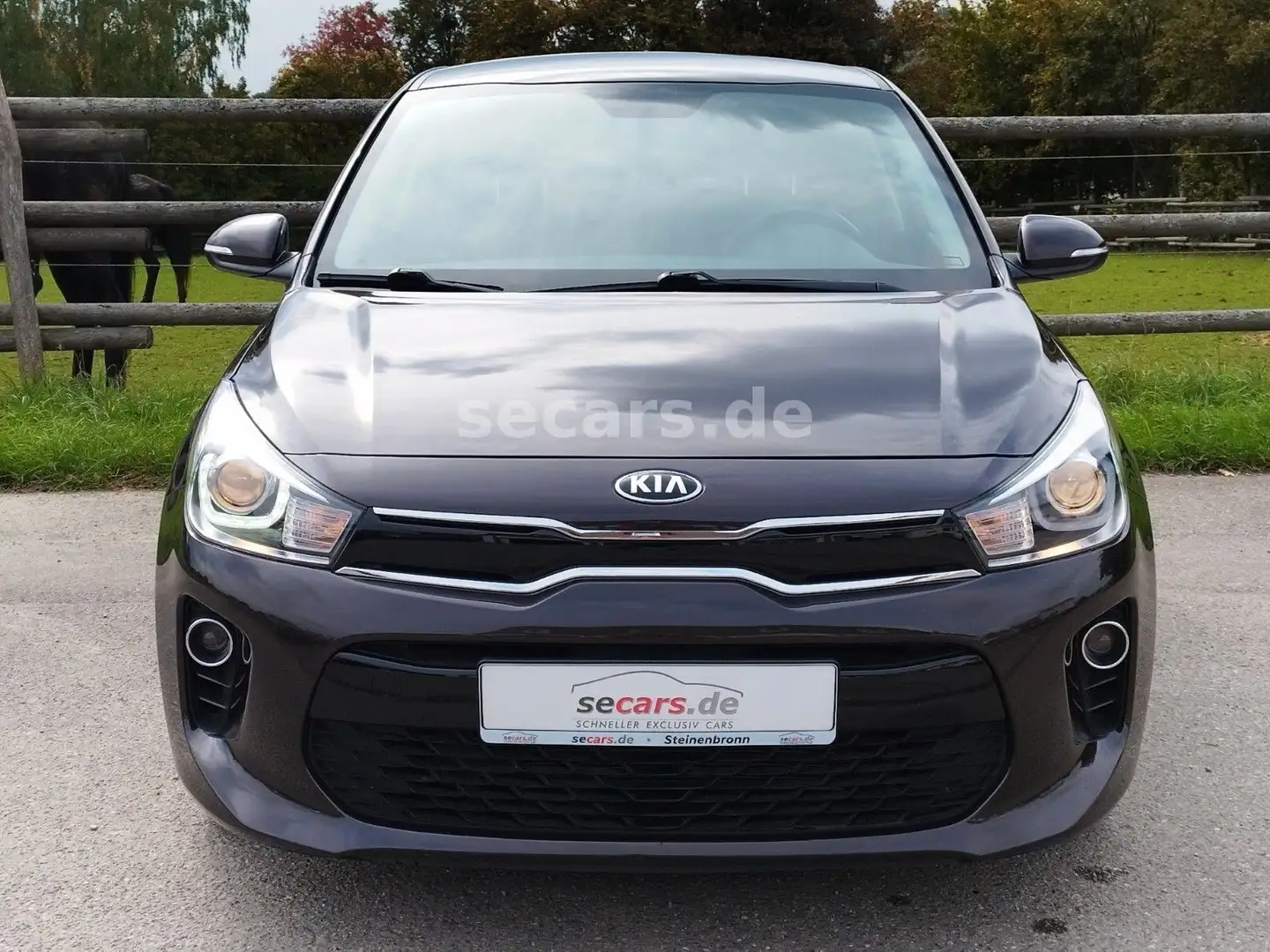 Kia Rio 1.2 Navi RFK SHZ LKRHZ KlimaAu Apple Android Braun - 2
