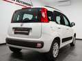 Fiat Panda Panda 0.9 t.air turbo Easy 85cv E6 AUTOMATICA Weiß - thumbnail 4