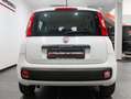 Fiat Panda Panda 0.9 t.air turbo Easy 85cv E6 AUTOMATICA Weiß - thumbnail 5