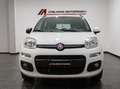 Fiat Panda Panda 0.9 t.air turbo Easy 85cv E6 AUTOMATICA Weiß - thumbnail 2