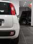 Fiat Panda Panda 0.9 t.air turbo Easy 85cv E6 AUTOMATICA Weiß - thumbnail 7