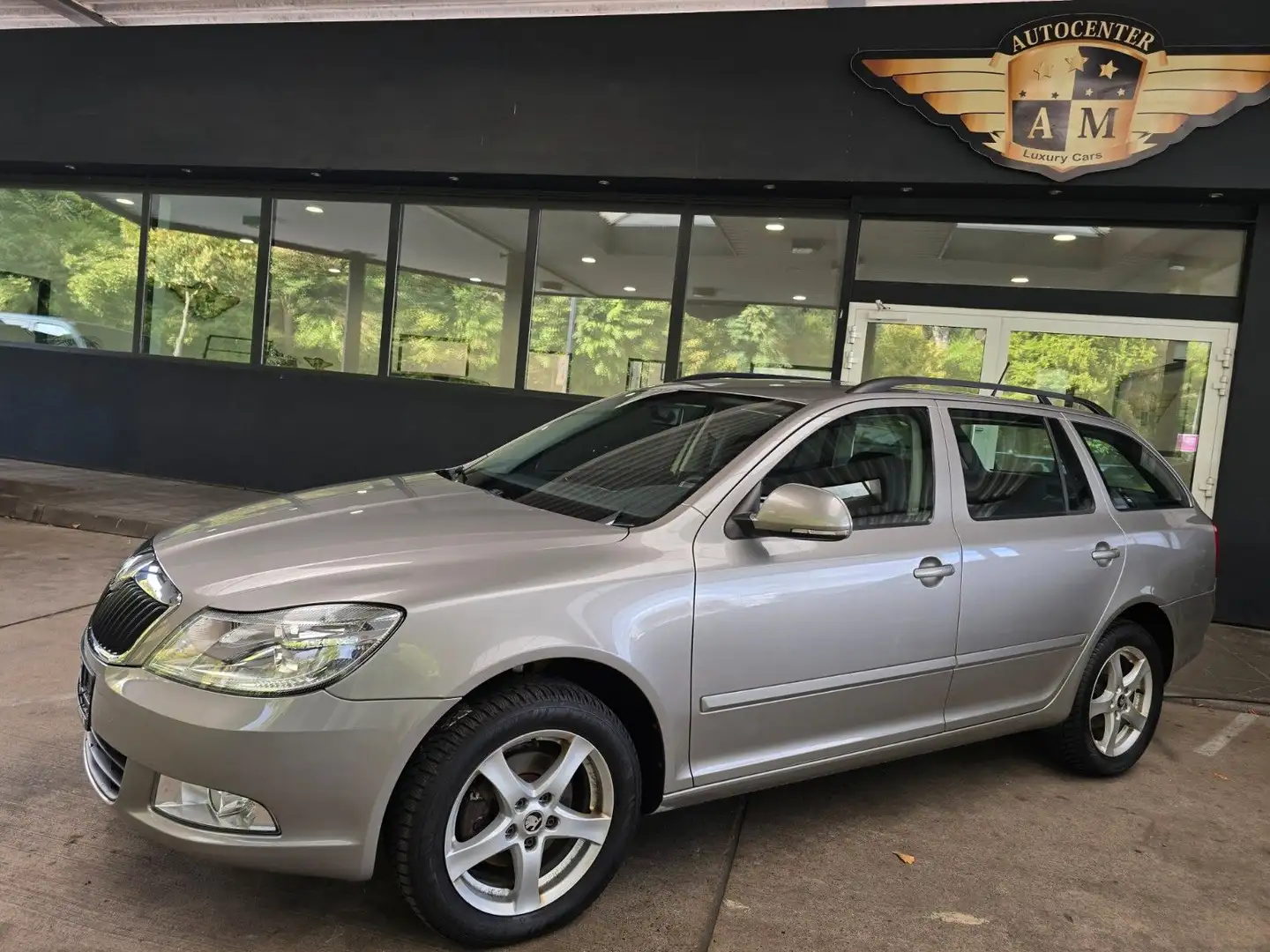 Skoda Octavia Combi 1.6 TDI Ambition 4x4 PDC/LM/AHK Beige - 2