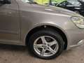Skoda Octavia Combi 1.6 TDI Ambition 4x4 PDC/LM/AHK Beige - thumbnail 24