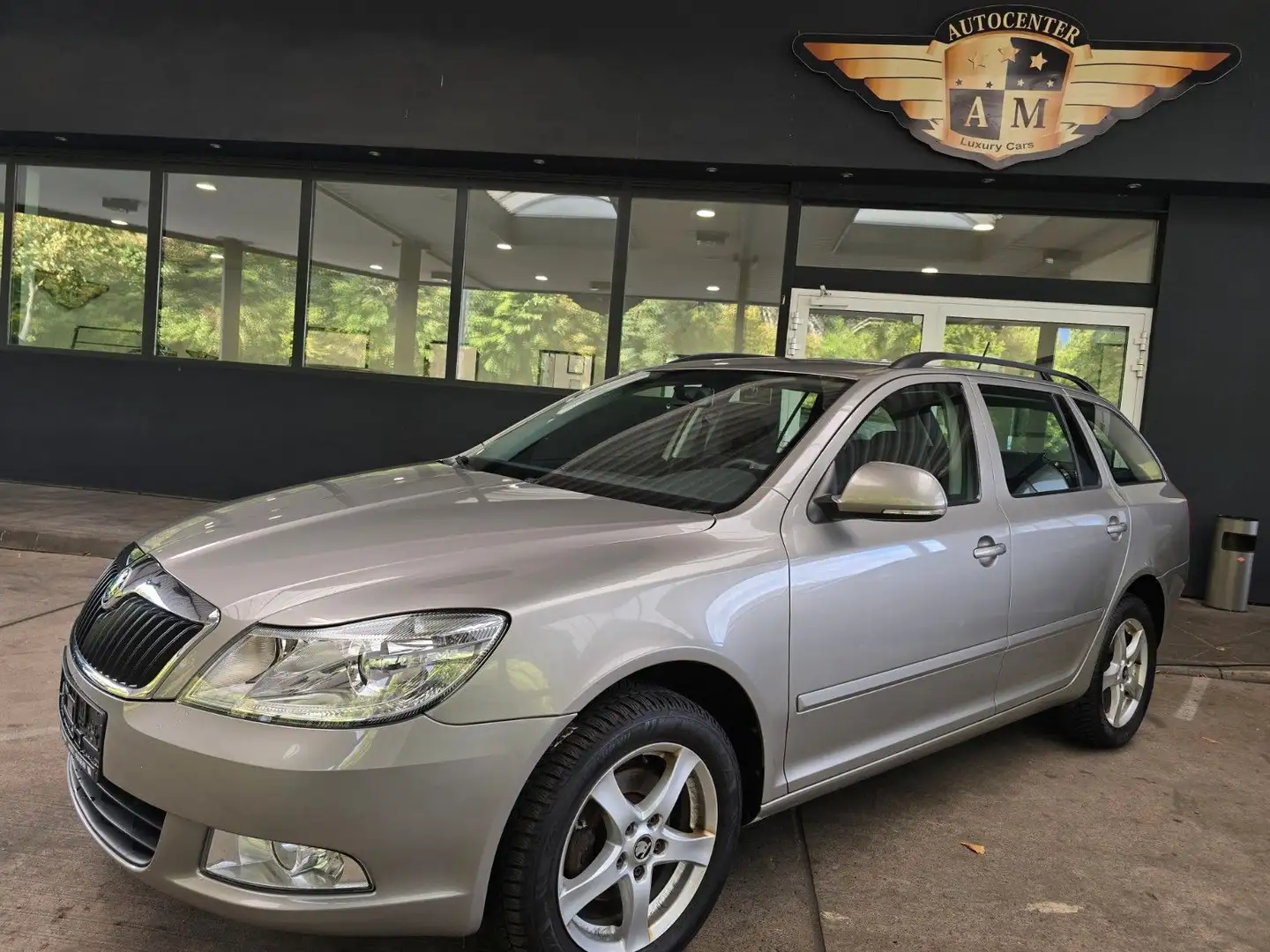 Skoda Octavia Combi 1.6 TDI Ambition 4x4 PDC/LM/AHK Beige - 1